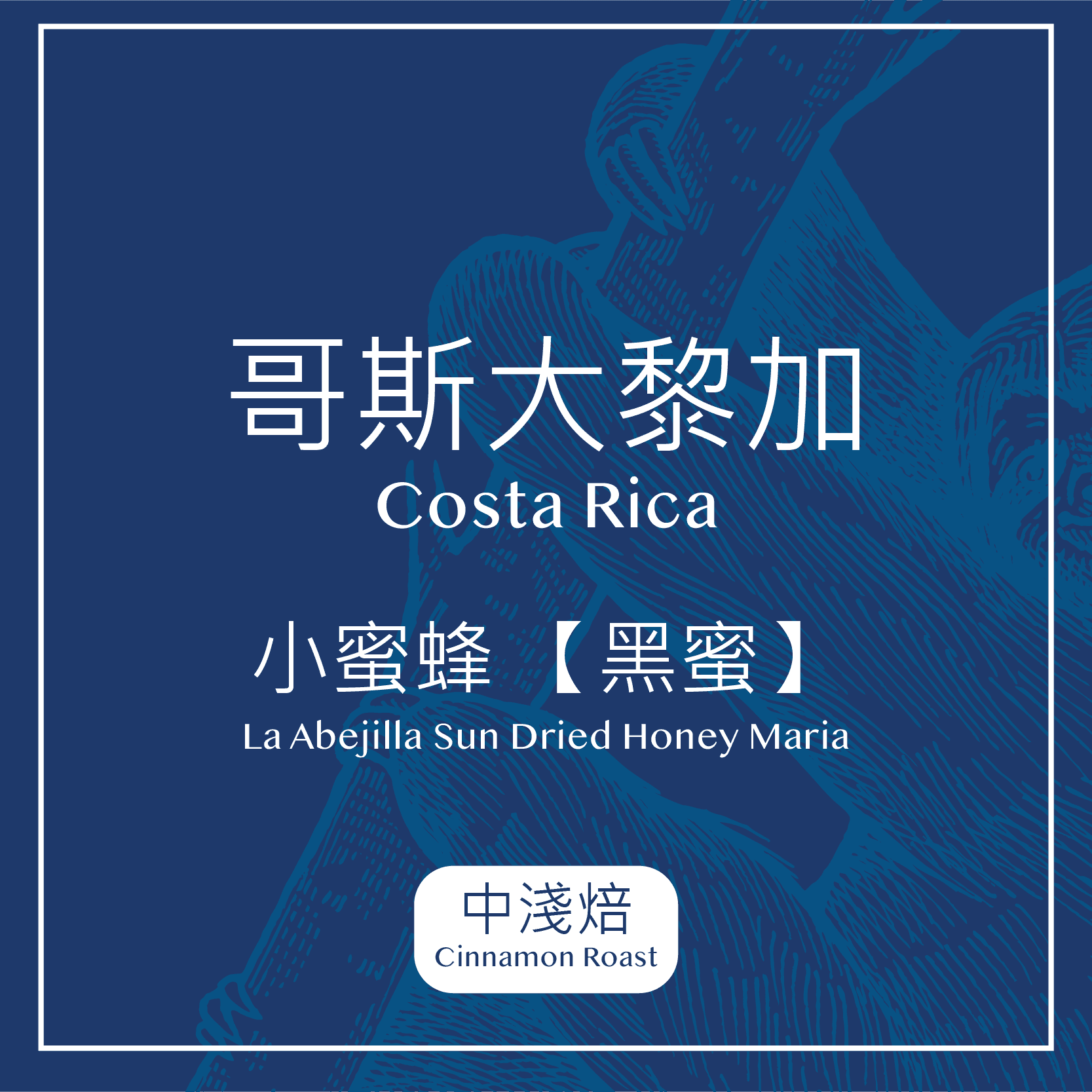 瓜地馬拉・美景莊園 黃波旁【日曬】 (中淺焙)