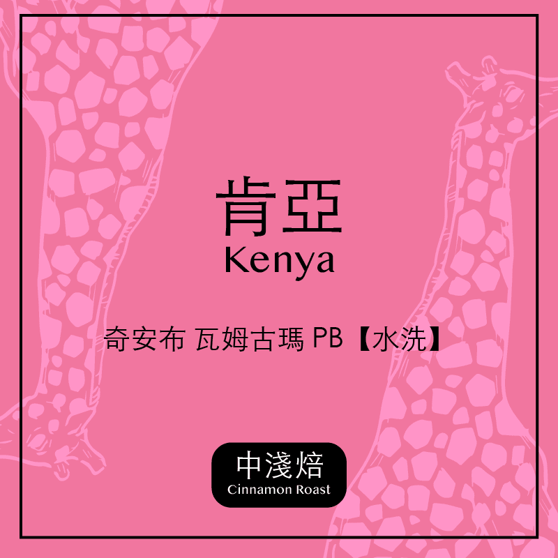 衣索比亞．耶加雪菲 【水洗】Koke